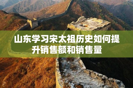 山东学习宋太祖历史如何提升销售额和销售量