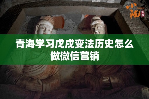 青海学习戊戌变法历史怎么做微信营销