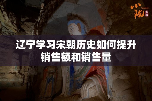 辽宁学习宋朝历史如何提升销售额和销售量