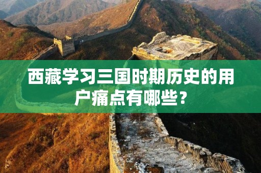 西藏学习三国时期历史的用户痛点有哪些？