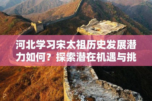河北学习宋太祖历史发展潜力如何？探索潜在机遇与挑战