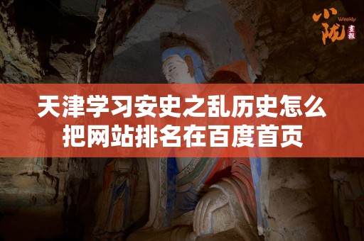 天津学习安史之乱历史怎么把网站排名在百度首页