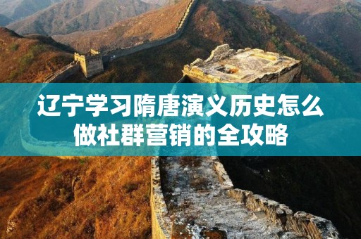 辽宁学习隋唐演义历史怎么做社群营销的全攻略