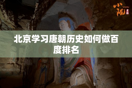 北京学习唐朝历史如何做百度排名