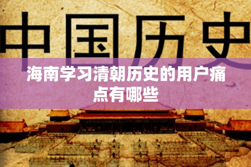 海南学习清朝历史的用户痛点有哪些