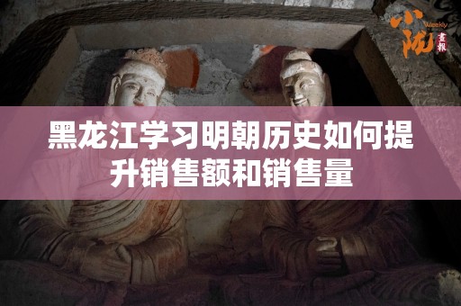黑龙江学习明朝历史如何提升销售额和销售量