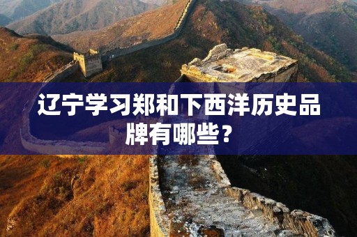 辽宁学习郑和下西洋历史品牌有哪些？