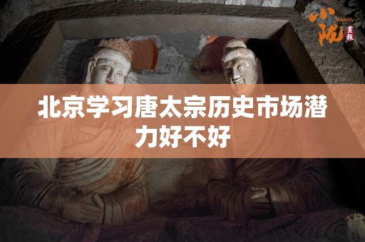 北京学习唐太宗历史市场潜力好不好