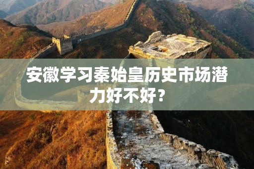 安徽学习秦始皇历史市场潜力好不好？