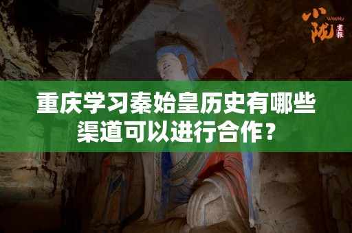 重庆学习秦始皇历史有哪些渠道可以进行合作？