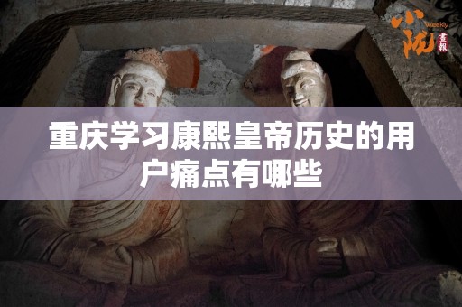重庆学习康熙皇帝历史的用户痛点有哪些