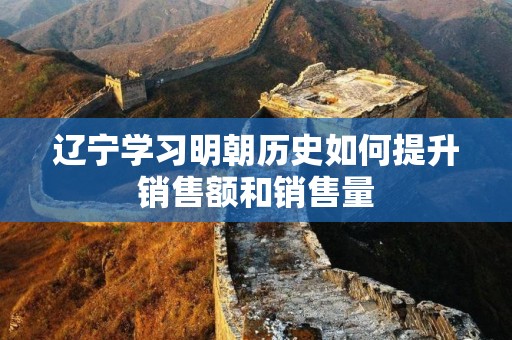 辽宁学习明朝历史如何提升销售额和销售量