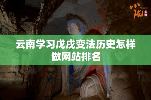 云南学习戊戌变法历史怎样做网站排名