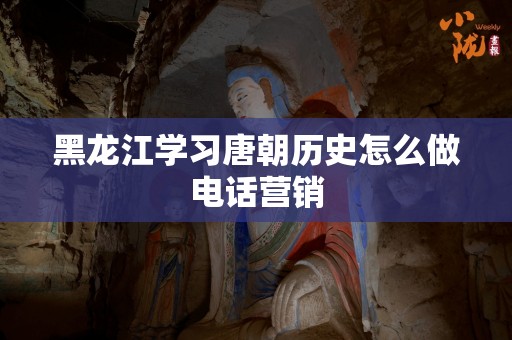 黑龙江学习唐朝历史怎么做电话营销