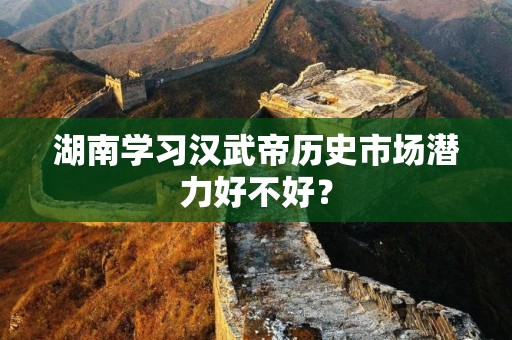 湖南学习汉武帝历史市场潜力好不好？