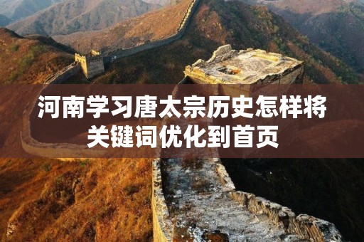 河南学习唐太宗历史怎样将关键词优化到首页