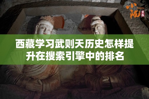 西藏学习武则天历史怎样提升在搜索引擎中的排名