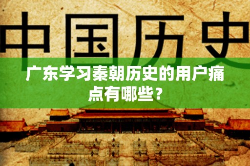 广东学习秦朝历史的用户痛点有哪些？