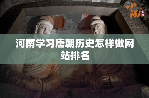 河南学习唐朝历史怎样做网站排名