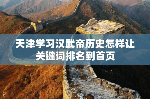 天津学习汉武帝历史怎样让关键词排名到首页