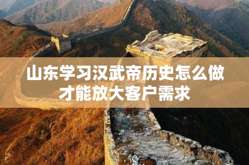 山东学习汉武帝历史怎么做才能放大客户需求