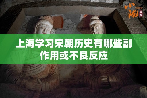 上海学习宋朝历史有哪些副作用或不良反应