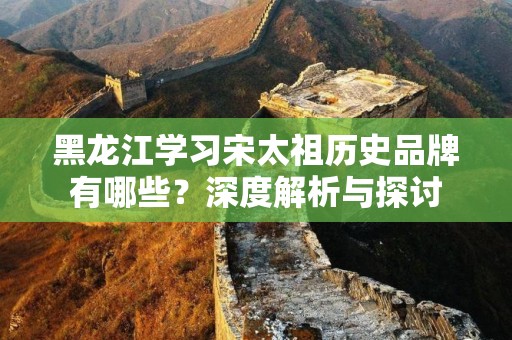 黑龙江学习宋太祖历史品牌有哪些？深度解析与探讨