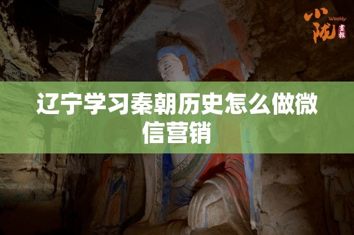 辽宁学习秦朝历史怎么做微信营销