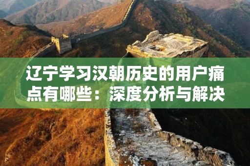 辽宁学习汉朝历史的用户痛点有哪些：深度分析与解决方案