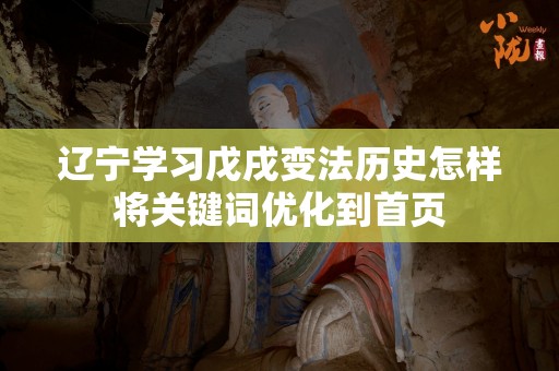 辽宁学习戊戌变法历史怎样将关键词优化到首页