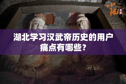 湖北学习汉武帝历史的用户痛点有哪些？