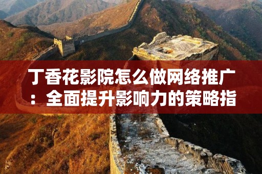 丁香花影院怎么做网络推广：全面提升影响力的策略指南