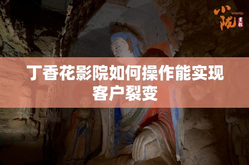 丁香花影院如何操作能实现客户裂变