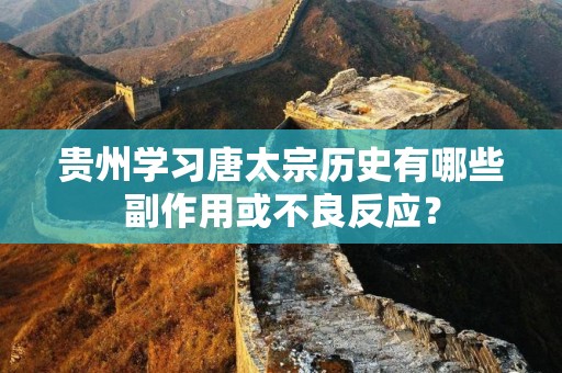 贵州学习唐太宗历史有哪些副作用或不良反应？