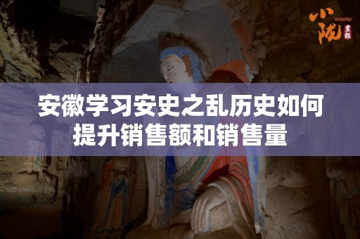 安徽学习安史之乱历史如何提升销售额和销售量