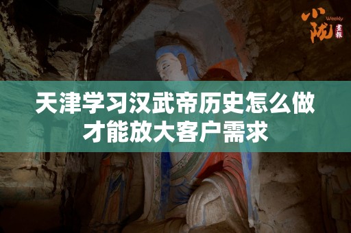 天津学习汉武帝历史怎么做才能放大客户需求