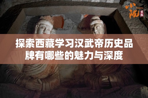 探索西藏学习汉武帝历史品牌有哪些的魅力与深度