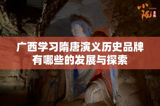 广西学习隋唐演义历史品牌有哪些的发展与探索