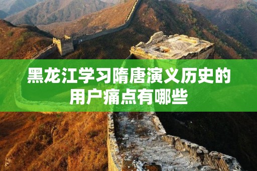 黑龙江学习隋唐演义历史的用户痛点有哪些