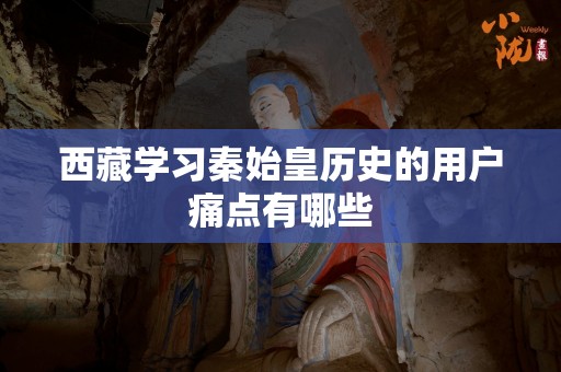 西藏学习秦始皇历史的用户痛点有哪些