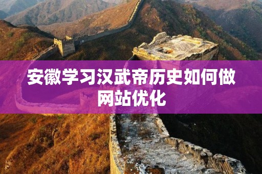 安徽学习汉武帝历史如何做网站优化