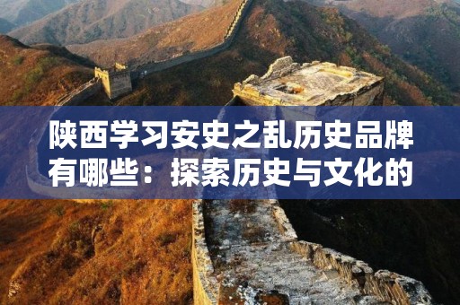 陕西学习安史之乱历史品牌有哪些：探索历史与文化的交融