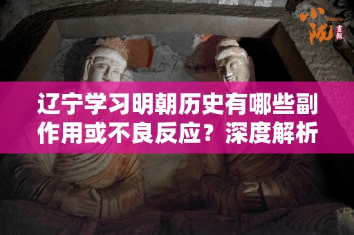 辽宁学习明朝历史有哪些副作用或不良反应？深度解析与思考
