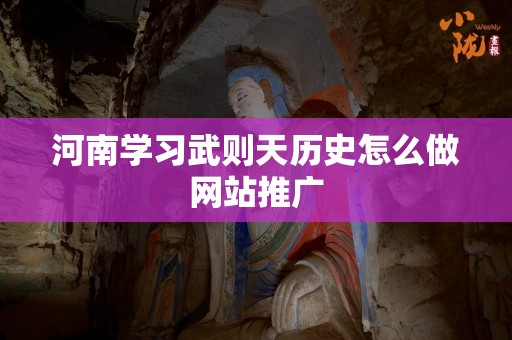 河南学习武则天历史怎么做网站推广