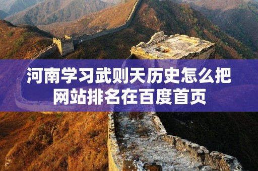 河南学习武则天历史怎么把网站排名在百度首页