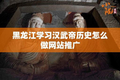 黑龙江学习汉武帝历史怎么做网站推广