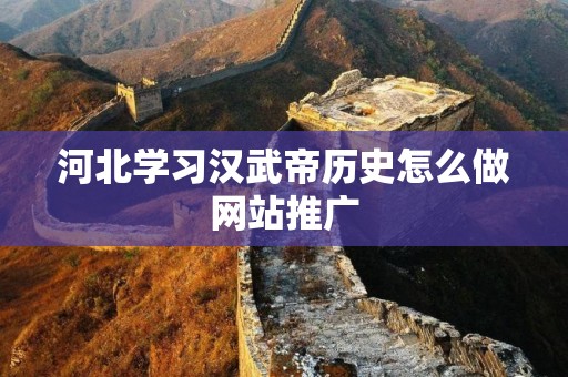 河北学习汉武帝历史怎么做网站推广
