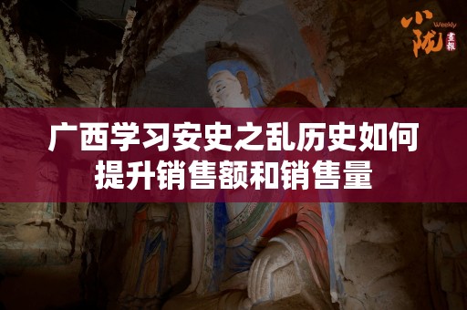 广西学习安史之乱历史如何提升销售额和销售量